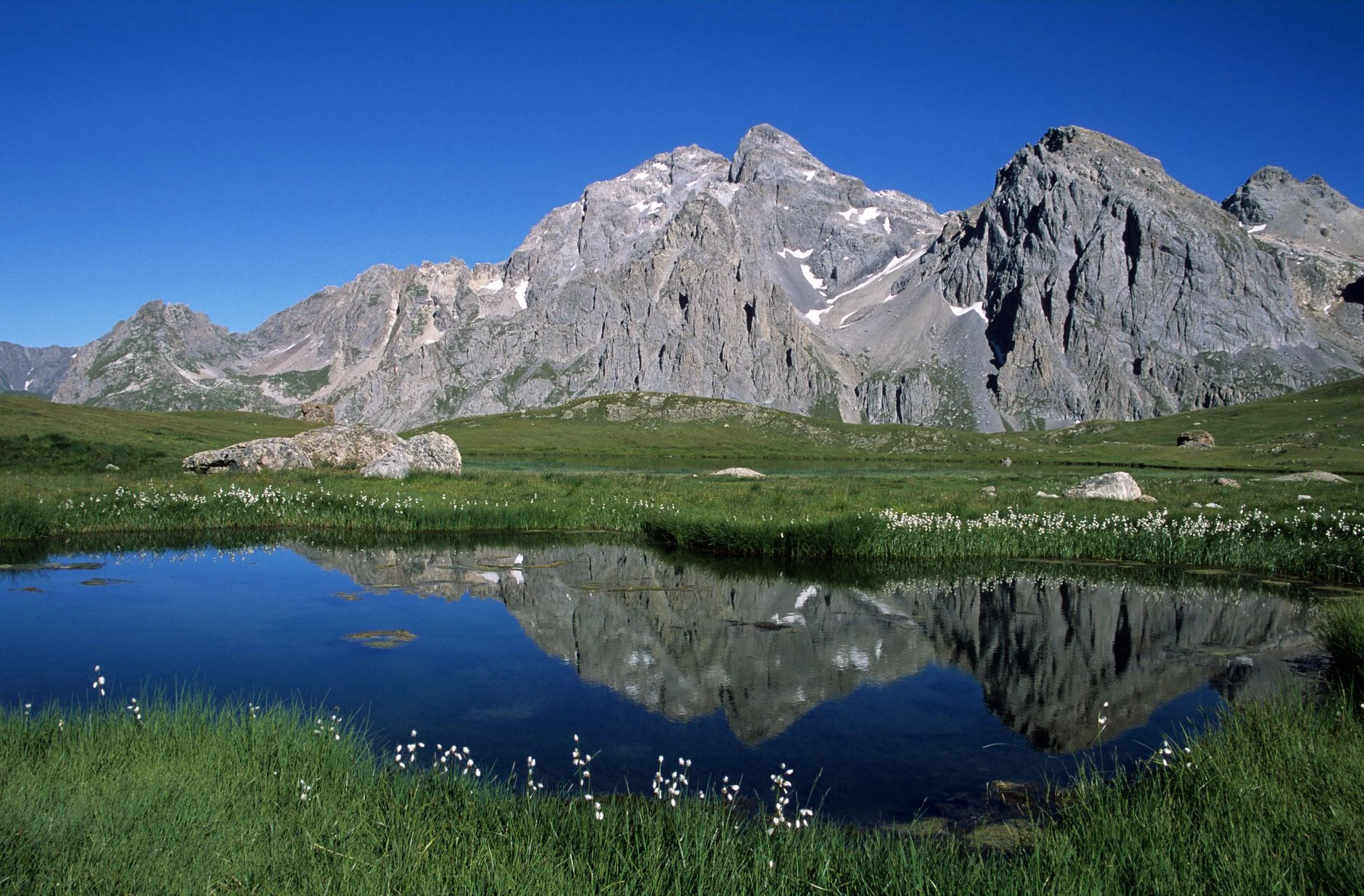 Le Terroir Alpin de Drumettaz : Une Richesse Viticole à Découvrir