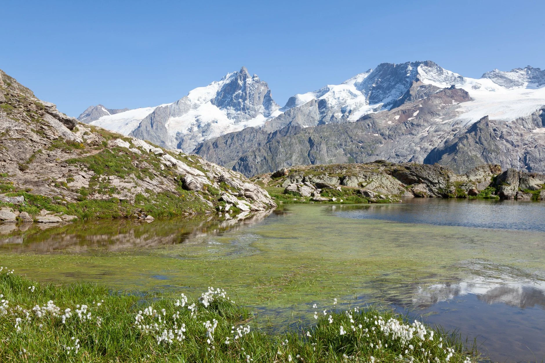 À la découverte de la Marsanne et des vins alpins de Savoie